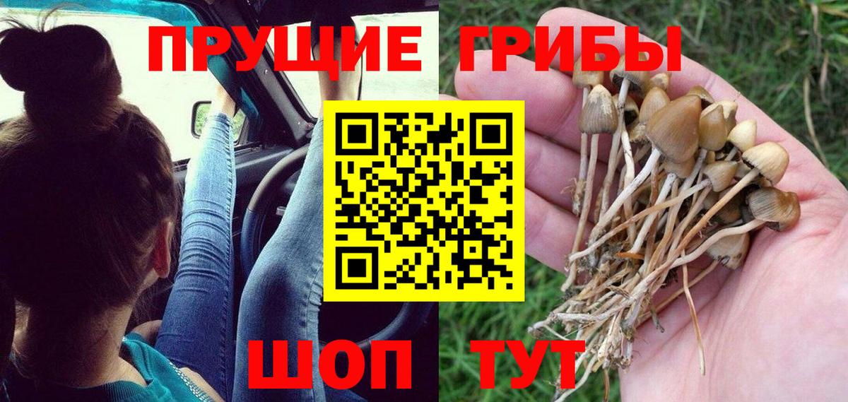 Псилоцибиновые грибы Magic Shrooms  где найти наркотики  Канаш  Вход с VPN 